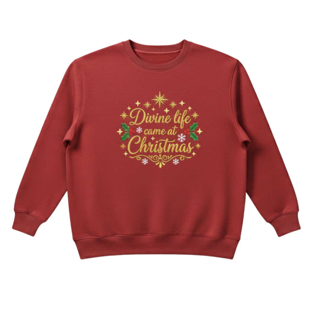Christmas Jumper: 'Divine Life Came at Christmas' 